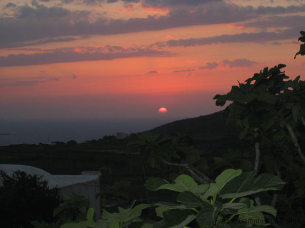 Dammuso Le Alcove - Tramonti