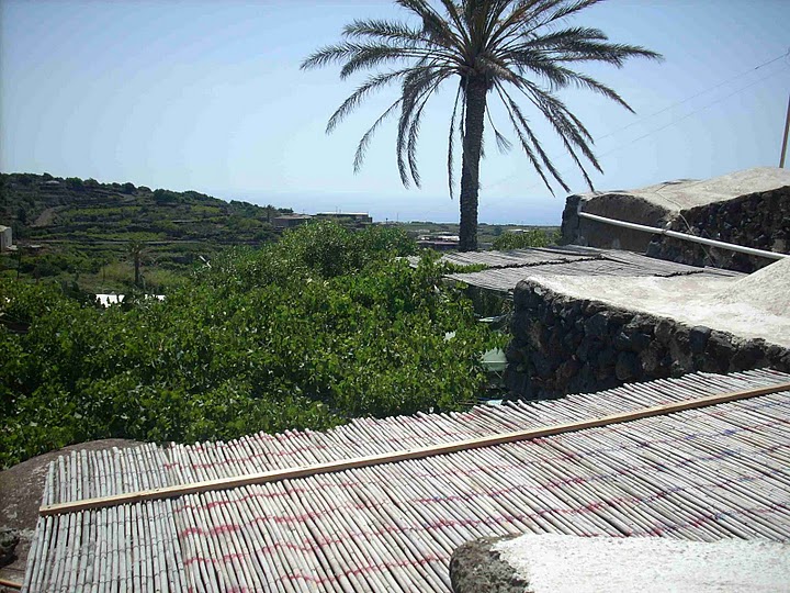 DSCN1621_pma
